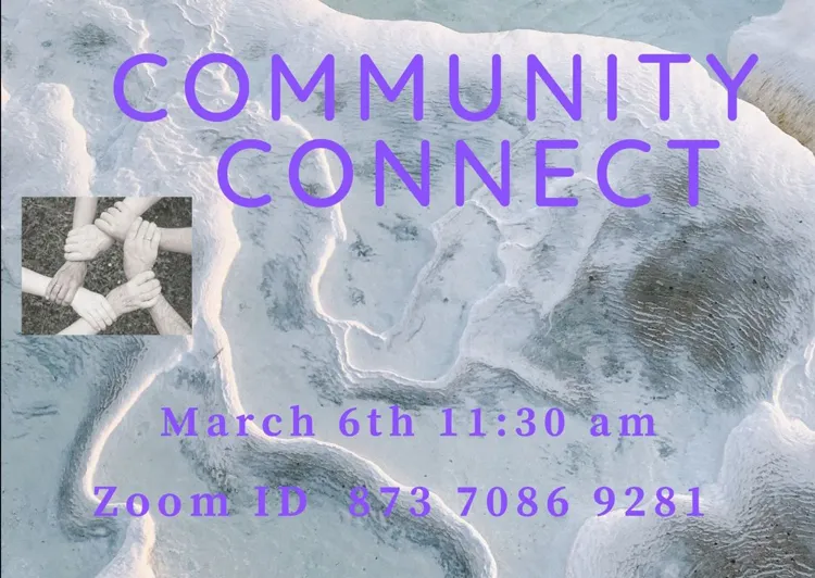 Chiropractic Clarkesville GA Community Connect March 2021