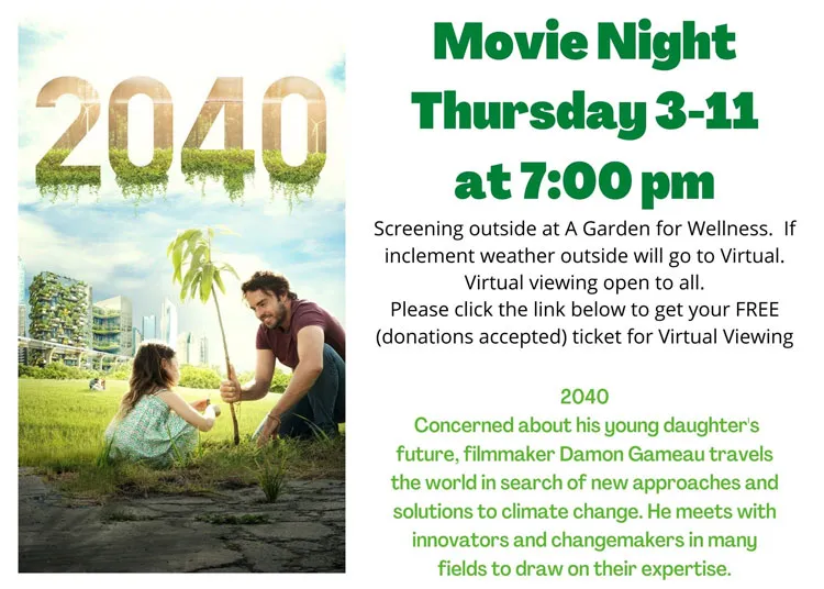 Chiropractic Clarkesville GA Movie Night March 2021