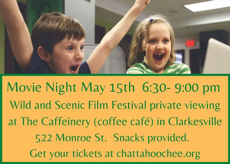 Chiropractic Clarkesville GA Movie Night