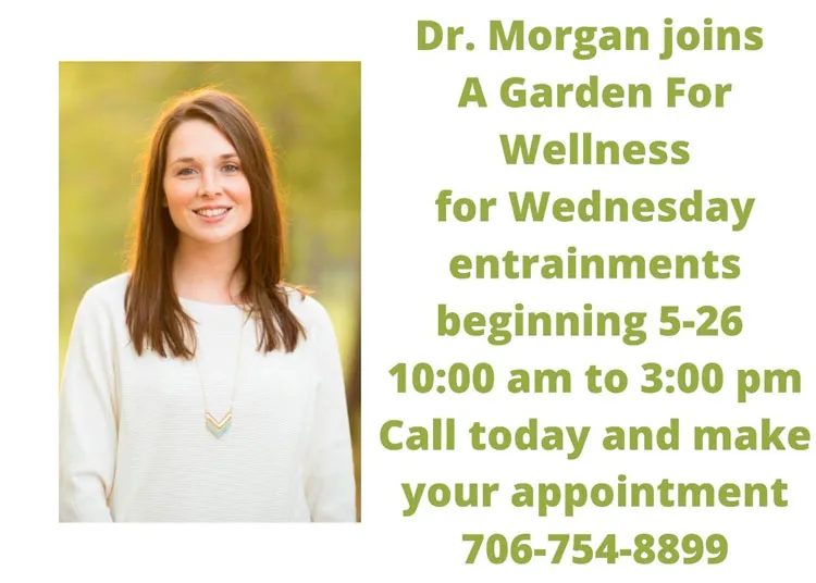 Chiropractic Clarkesville GA Dr Morgan