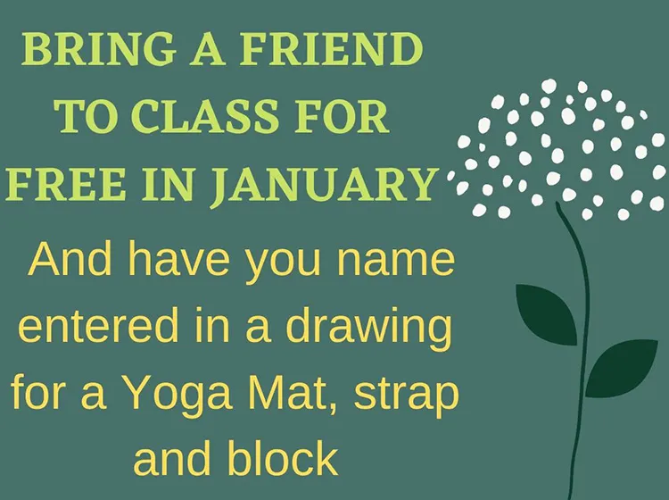 Chiropractic Clarkesville GA Yoga with a Friend January 2022