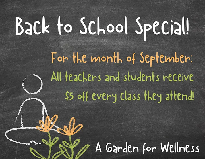 Chiropractic Clarkesville GA Back to School